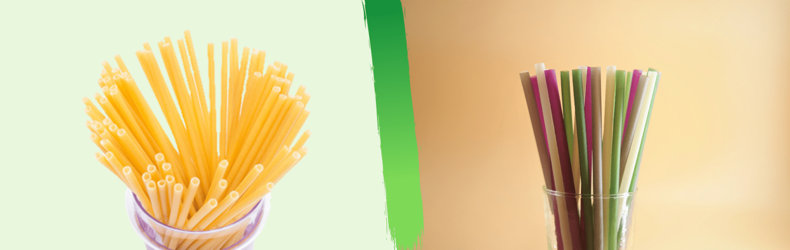 PastaStraw VS Rice Straw