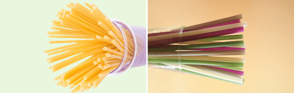 Smoothie Pasta Straws - Biodegradable Straws, Colorful